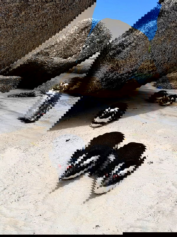 alexandramarianna alexandramarianna archive image