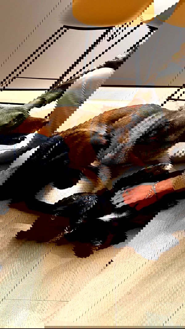 talweisswasser talweisswasser archive image