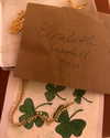 elizabethcampbelljones Altpins Profile Picture
