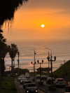 solzarubin_ Altpins Profile Picture