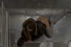 pol_cherie Altpins Profile Picture