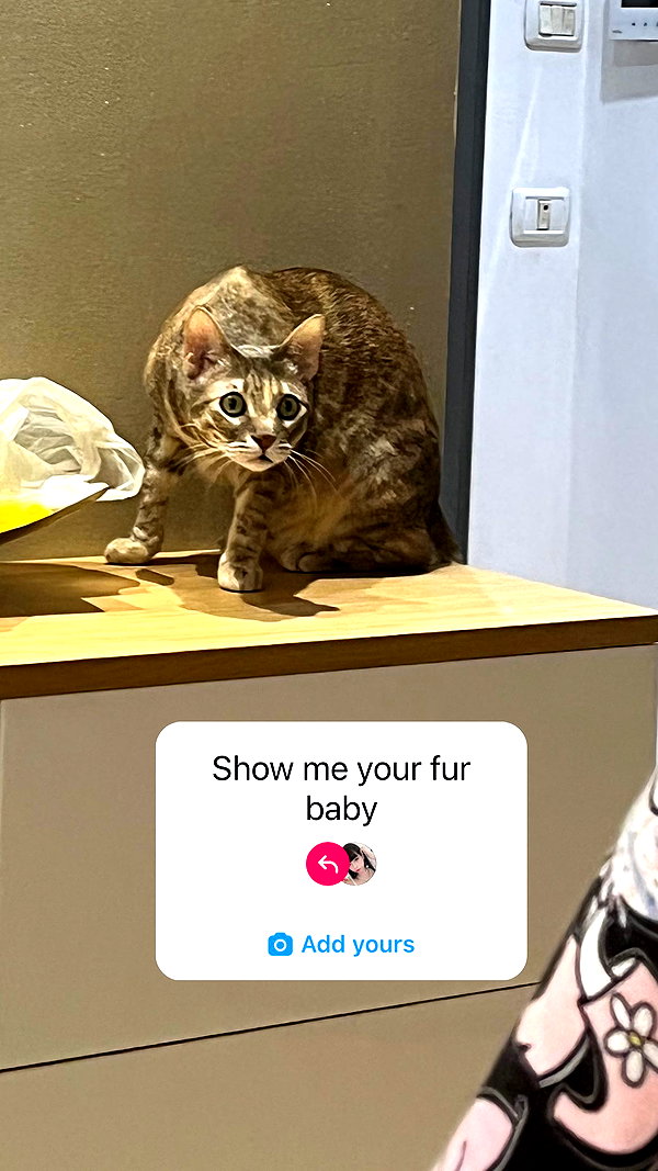 Archived image from @notchicore on Instagram