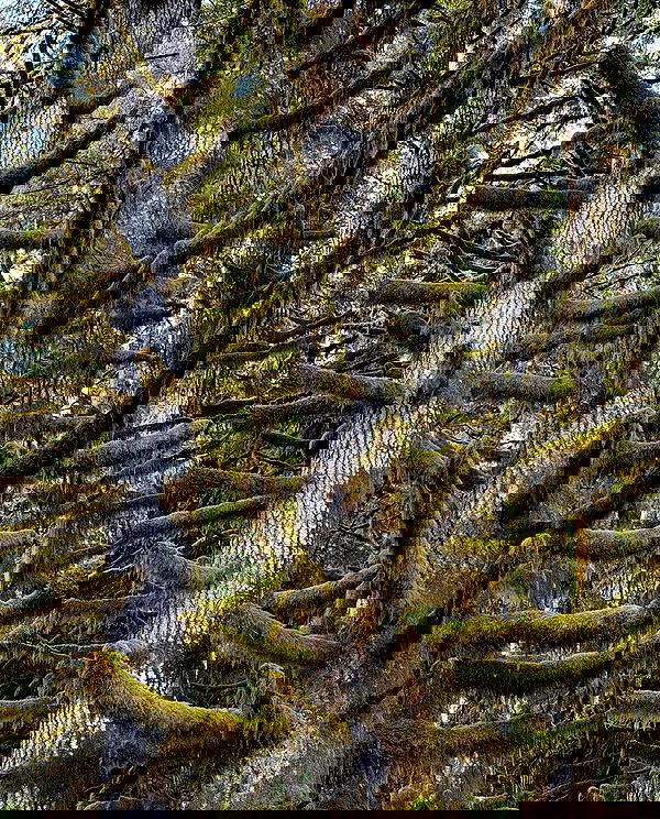 taylor.creeden taylor.creeden archive image