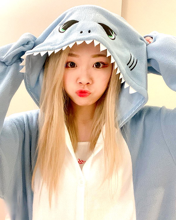 igumdrop instagram image archive image