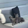 kyliejenner Altpins Profile Picture