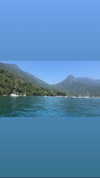 maori_cohen Altpins Profile Picture