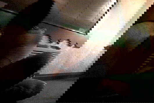 zommmbri zommmbri archive image