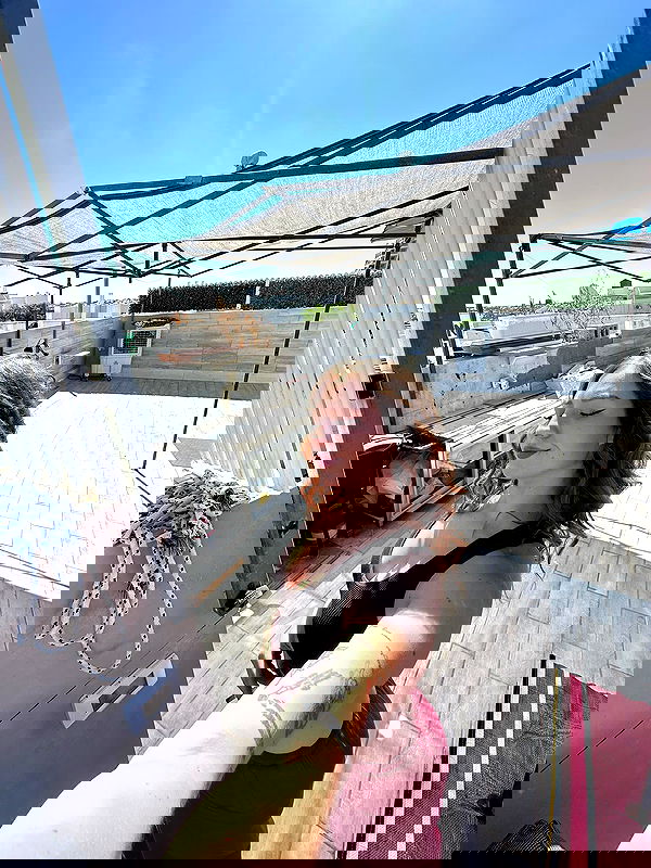 mishel116 mishel116 archive image