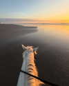 gabbyepstein Altpins Profile Picture