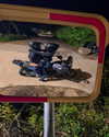 yahav_marciano Altpins Profile Picture