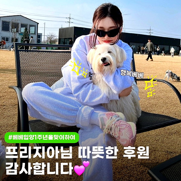 kdsrescue instagram image archive image