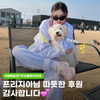 kdsrescue Altpins Profile Picture