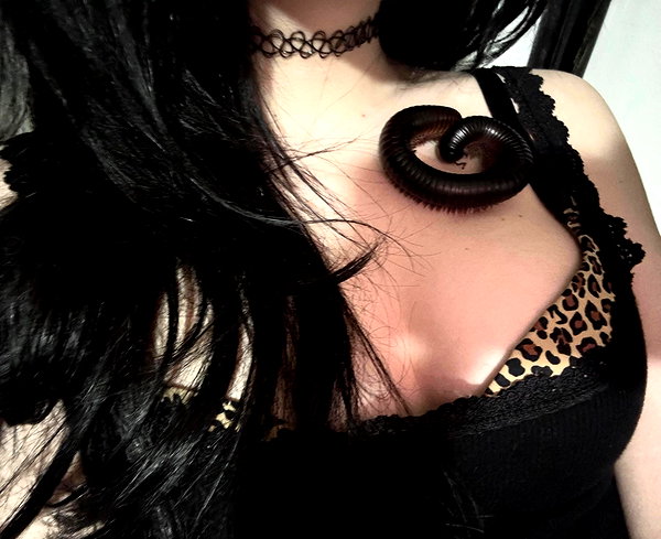 svcriligiosa instagram image archive image