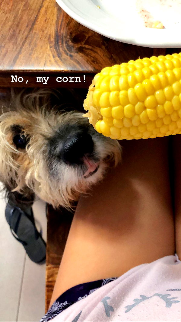 kesemgreenyer instagram image archive image