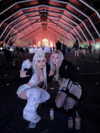 alisawaifu Altpins Profile Picture