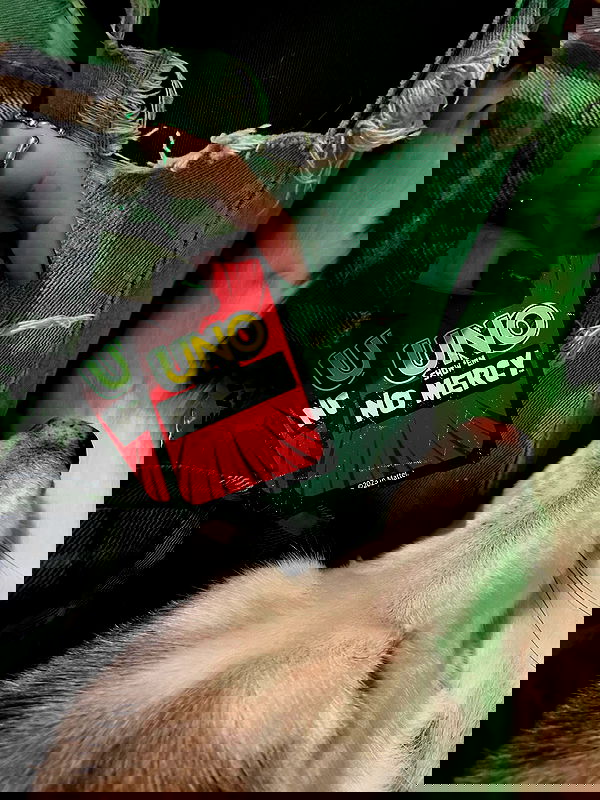 _animechika_ _animechika_ archive image