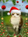 ellaexplicit_ Altpins Profile Picture