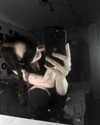 klywrxzzp Altpins Profile Picture