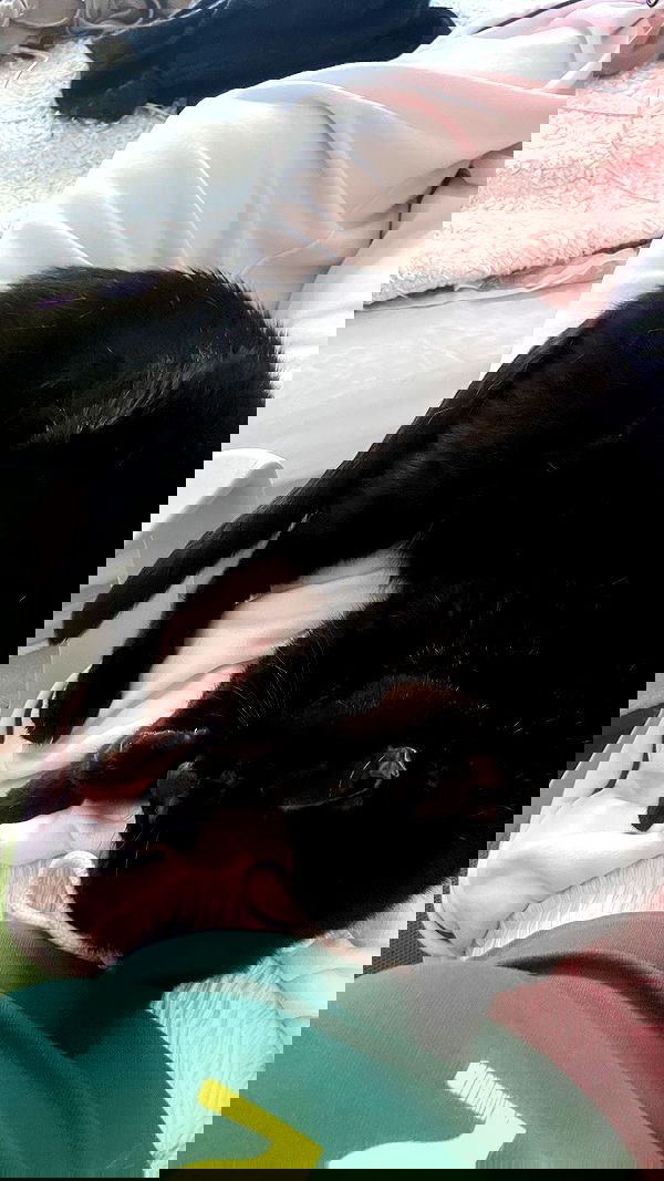 elianachetrit elianachetrit archive image