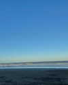 solzarubin_ Altpins Profile Picture