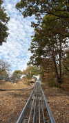 hagarschubert Altpins Profile Picture
