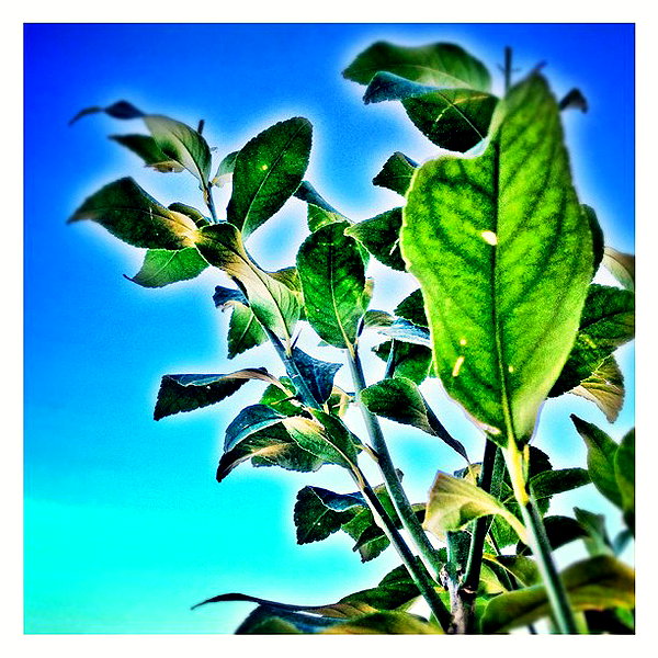 adihimelbloy instagram image archive image
