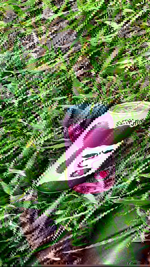 efrat_elmalich efrat_elmalich archive image