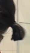 babynympho_archive Altpins Profile Picture