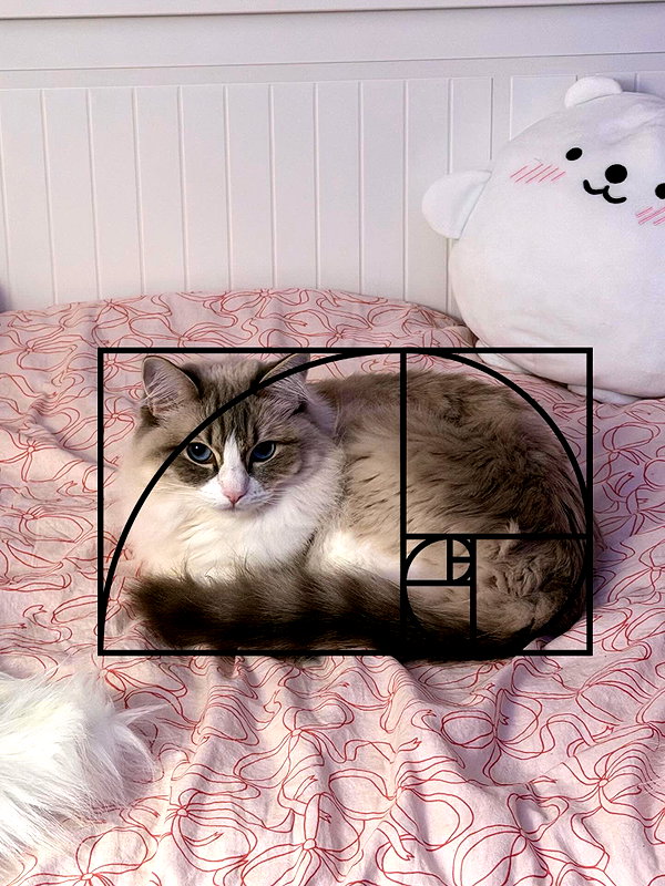catl0verr69 instagram image archive image