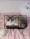 catl0verr69 Altpins Profile Picture