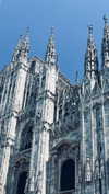 annabottoo Altpins Profile Picture