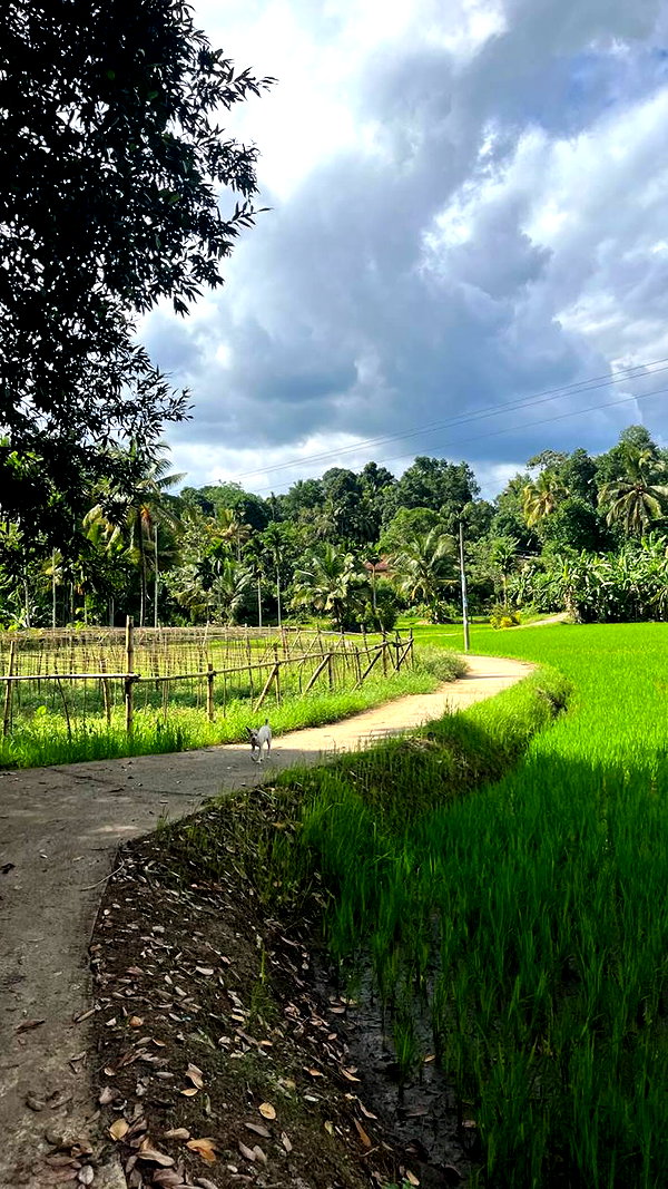 urplpur instagram image archive image