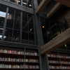 pol_cherie Altpins Profile Picture