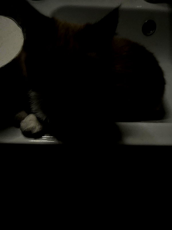 luckyme483 instagram image archive image