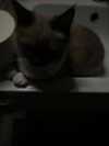 luckyme483 Altpins Profile Picture