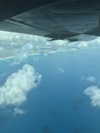 ofri.elul Altpins Profile Picture