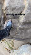 elizabethcampbelljones Altpins Profile Picture