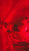 arabelladourado Altpins Profile Picture