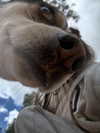 yaarat11 Altpins Profile Picture