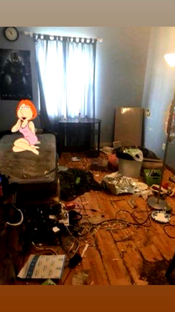 l1amsii instagram image archive image