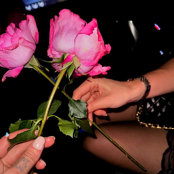 dualipa instagram image archive image