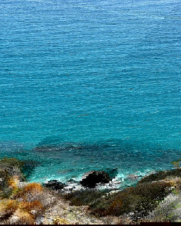 manjolamuriqi manjolamuriqi archive image