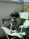 bymonamarie Altpins Profile Picture