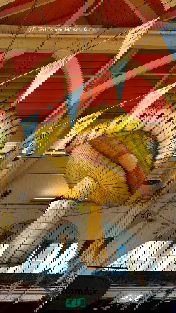 taylor.creeden taylor.creeden archive image