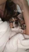 kyla.doddsss Altpins Profile Picture