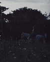 ll.lu1s Altpins Profile Picture