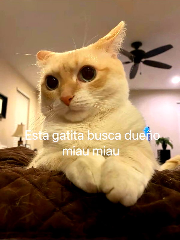 lulymakima instagram image archive image