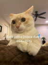 lulymakima Altpins Profile Picture