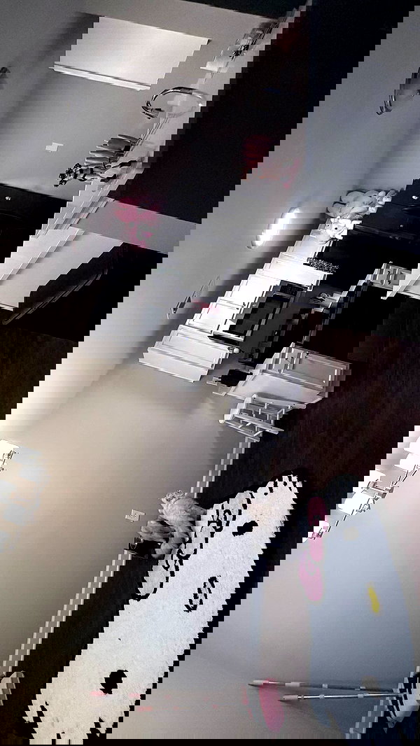 svgarbvnnies svgarbvnnies archive image