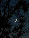 annazak12 Altpins Profile Picture